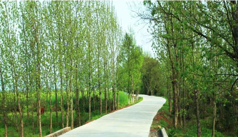 江西信豐縣工業(yè)園科之光路（緯二路）新建大道、產(chǎn)業(yè)大道北段一期工程設(shè)計(jì)、施工總承包（EPC）